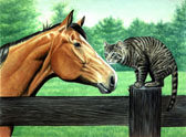 Equine Art - Meeting at the Fencepost